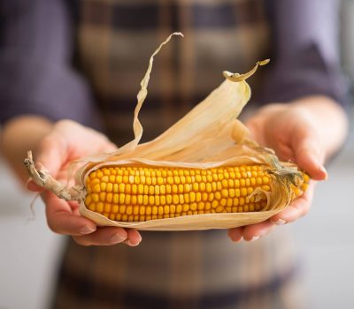 Post with Visual composer modules 6 Image