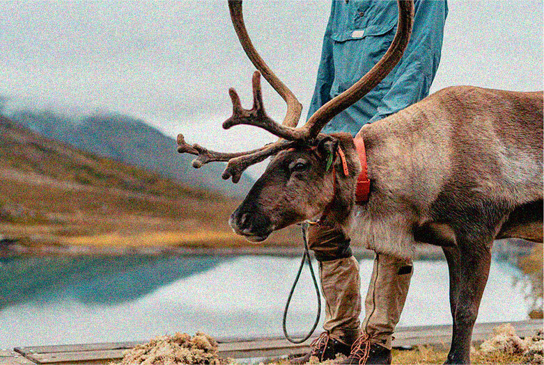 Portfolio 21 Image module